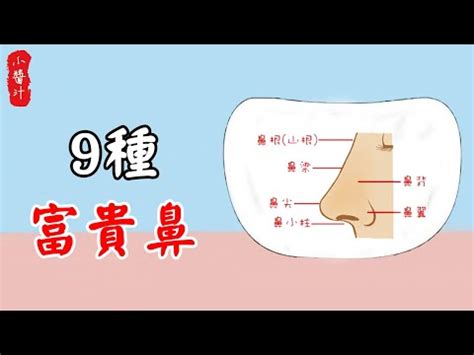 福鼻 面相|【福鼻面相】揭秘福鼻面相！5種註定福澤綿延的鼻子特徵